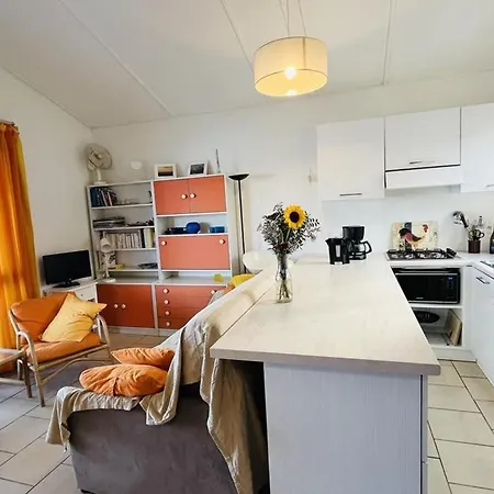 Rez-de-chaussee Avec Terrasse, A 100m De La Plage! 6 Couchages, Parking Inclus, Linge Fourni. - Fr-1-63-343 *
